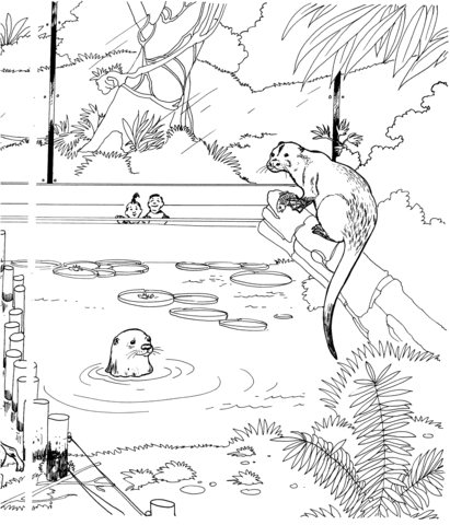 River Otter In A Zoo Coloring Page